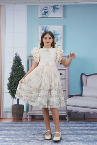 Abito da <span class=keywords><strong>ballo</strong></span> elegante da ragazza con maniche arricciate con stampa a inchiostro cinese farfallino-per il compleanno di nozze della festa della principessa (SA5933) - Product Image 5