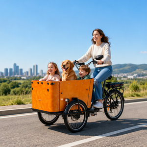 <span class=keywords><strong>Tricycle</strong></span> <span class=keywords><strong>adulte</strong></span> avec siège enfant, <span class=keywords><strong>tricycle</strong></span> cargo à trois roues, <span class=keywords><strong>tricycle</strong></span> familial, grand <span class=keywords><strong>tricycle</strong></span> cargo pour adultes, <span class=keywords><strong>tricycle</strong></span> cargo pour les courses - Product Image 1