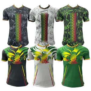 Custom High Quality Football Jersey Thai Quality Club Fan Soccer Jersey Mali Home/Away 23/24 Africa Cup Football Shirt Mens