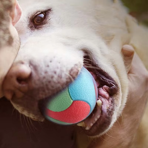 Jouet pour animaux de compagnie Pawmino en caoutchouc, balle interactive manuelle pour chiens et chats, design géométrique, anti-ennui - Product Image 5