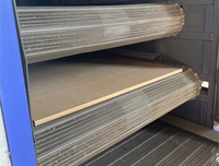 Warmtepomp Hout Groente Champignon Ui Biltong Vis Voedsel Fruit Droger Machine