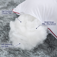 Coussin d'insertion carré blanc pour hôtel, coussin intérieur pour maison d'hôtes, club-house, complexe hôtelier, appartement - Vente en gros usine, fournisseur OEM professionnel