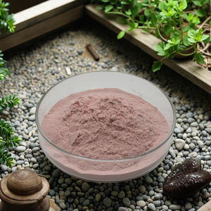 चेरी पाउडर प्राकृतिक चेरी फल रस के लिए सूखे तार्ट चेरी पाउडर - Product Image 5