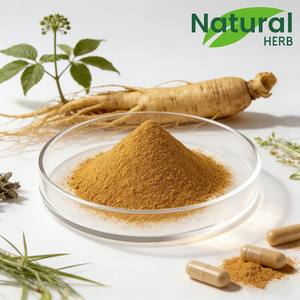 Doğal Panax <span class=keywords><strong>Ginseng</strong></span> Ekstresi %5 ila %80 Ginsenositler Yüksek Saflıkta Bitkisel Takviye GMP Sertifikalı - Product Image 4