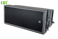 Dual Line Array 10 inci dengan Kabinet LLDPE Tahan Cuaca, Speaker PA Tahan Lama untuk Acara Luar Ruangan, Sewa, dan Perusahaan Sewa Stadion
