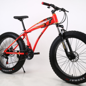 Roues Fat Bike 26x4.0 - Durable et Haute Performance