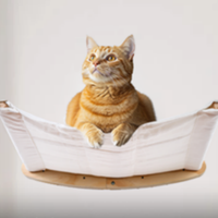 Hamac mural pour chat ROPECUBE en tissu de coton, lit pour chat, meuble pour animaux de compagnie qui économise de l'espace, étagère suspendue pour chats d'intérieur