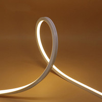 Dual Bend 1010 3D Free Bend Silicone LED Neon Strip Light IP67 Waterproof Outdoor USB Connectivity NFC Voice Control Copper Lamp