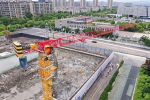 Bestselling Products Top Brand China's New 8 Ton Slt125h(t5022-8) Tower <b>Crane</b> Quality Guaranteed Lifting Equipment Motor Bearing - Product Image 4