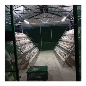 Hayvan kanatlı hayvancılık ekipmanları galvanizli katmanlı tavuk kafesi çok fonksiyonlu sağlanan tavuk çiftliği yumurta tavuk 2.5-4.0 Mm