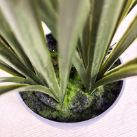 Plante artificielle réaliste de 75 cm, faux bonsaï en herbe de yucca, plante artificielle pour la décoration de la maison et du jardin