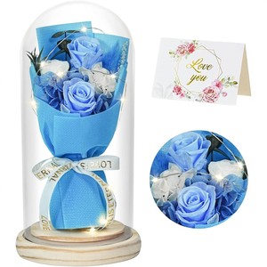 Ramo de Rosas en Cúpula de Cristal, Adorno Luminoso, Regalo para el Día de la Madre, San Valentín, para Mamá, Mejor Amiga, Decoración - Product Image 6