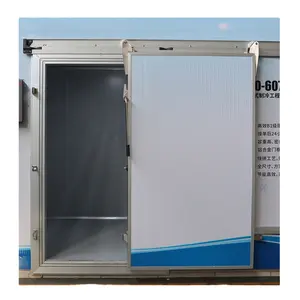 Cold Room Door Custom Size High Quality Cold Storage Room Freezer Front Insulated Cold Room Door