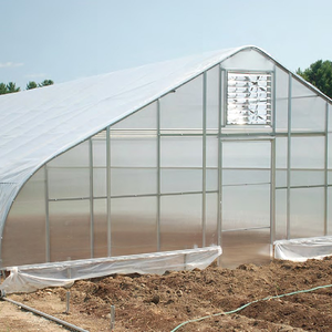 Invernadero Skyplant Polytunnel Plastic Tunnel Pe Single-Span en venta - Product Image 2