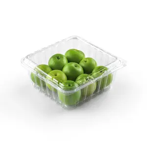Üretici OEM /ODM özel quadrate temizle tek kullanımlık plastik meyve gıda ambalaj hünnap üzüm meyve sebze kutuları