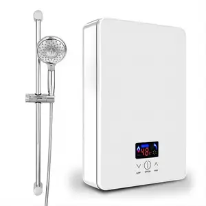 Golden Supplier Low Power Home RV Car ABS Instant Tankless Electric Hot Water Heater With Shower