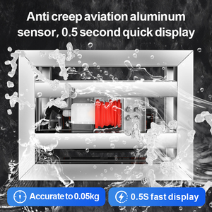 Bilancia a <span class=keywords><strong>Sgabello</strong></span> da 300 kg per Pesatura Oggetti Vivi, Realizzata in Acciaio Inossidabile Robusto - Product Image 2