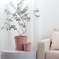 Pots à fleurs écologiques en ciment pigmenté de style vintage avec soucoupe pour la décoration de la maison et du jardin