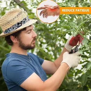 Ferramentas corte flores Aparador jardinagem Poda frutas Poda mão Tesoura tesoura tesoura