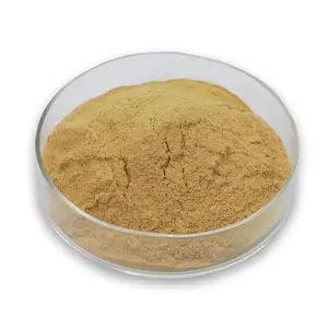 Best price pure natural isatis indigotica fort extract Isatis indigotica root extract powder