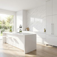Panneau mural en PVC de style moderne 1220*2440*2mm pour la décoration intérieure de divertissement et de maison, revêtement UV, motif géométrique marbré