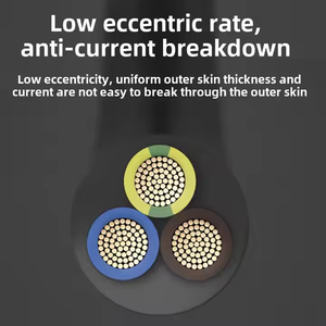 Cavo Elettrico Rivestito Jinwancheng 1-6 mm², Ignifugo, <span class=keywords><strong>2</strong></span>-5 Conduttori in Rame Morbido, PVC Rvv <span class=keywords><strong>2</strong></span>.5m - Product Image 3