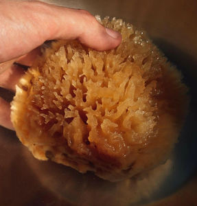 All'ingrosso, - Product Image 4