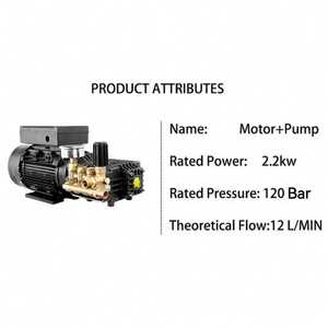 12 L/min 2200W nettoyeur ultra-haute pression <span class=keywords><strong>électrique</strong></span> <span class=keywords><strong>autonome</strong></span> Pompe de lavage de voiture, moteur, pour processus de nettoyage à l'eau à haute pression - Product Image 3