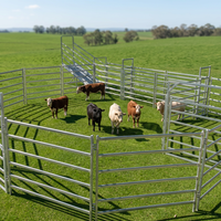Panneau de clôture pour bétail galvanisé robuste, directement de l'usine, pour enclos à bétail et paddock pour chevaux