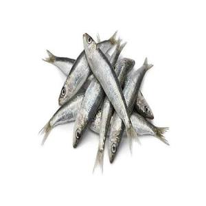 Porciones de Arenque Congelado Entero, Orgánico Premium, Sin Nicotina, Capturado en la Naturaleza, Alto en Proteínas, Bajo en Carbohidratos, Venta al Por Mayor para Servicios de Alimentación - Product Image 2
