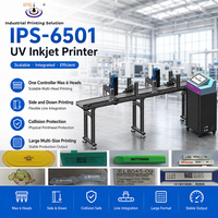 Impresora Industrial Digital de Inyección de Tinta UV IPS-6501, Impresora de Códigos QR y Datos Variables, Alta Productividad para Líneas de Producción