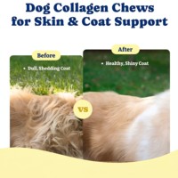 Complément alimentaire OEM Collagène en gommes pour chiens et chats : soutien articulaire, cartilage, immunité, peau et pelage – Superaliment types I, II, III