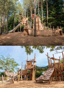 Tùy chỉnh thân thiện với môi bằng gỗ & nhựa trẻ em sân chơi thiết bị-ngoài trời tự nhiên Cây nhà trượt leo cấu trúc - Product Image 5