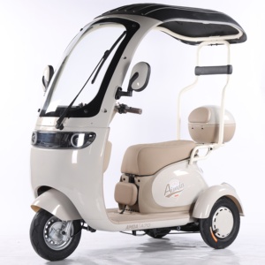 Nuevo Triciclo Eléctrico Motorizado <span class=keywords><strong>Chino</strong></span> de 3 Ruedas para Adultos, Diseño Abierto Multicolor de Alta Calidad, 650W 60V, Ligero - Product Image 2