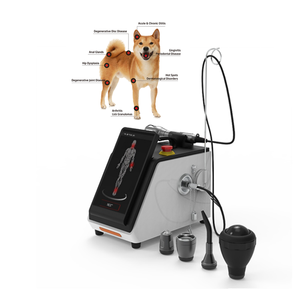 เครื่องเลเซอร์บำบัดสัตว์ Derry Max Power 26.2W 4 ความยาวคลื่น ระดับ GIGAA Class IV สำหรับโรงพยาบาลสัตว์ - Product Image 1