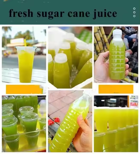 Industrial Commercial Electric Motor & Engine 304 Stainless Steel <b>Juice</b> Extractor Small Sugarcane Juicer <b>Machine</b> 220/380V - Product Image 5