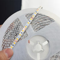 Bande lumineuse LED flexible-Bande lumineuse LED extérieure étanche pour la décoration et l'éclairage portable