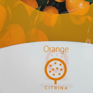 Árbol de Calamondín en Maceta, Planta Cítrica de Interior para Hogar y Jardín, Bolsas para Plantas con Logotipo Personalizable - Product Image 3