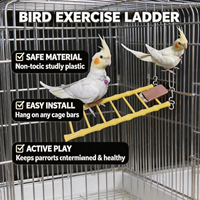 Échelle en plastique durable imitation bambou, rectangulaire, multi-tailles, pour l'enrichissement des cages à perroquets