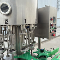 Machine de remplissage de vodka de vin à pression négative entièrement automatique pour emballer les boissons aux fruits dans des bouteilles en verre en plastique
