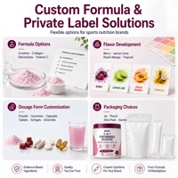 Poudre de nutrition sportive de nouvelle génération |   Hydratation et récupération sportives |   Créatine Collagène Électrolytes |   Saveur de fruits rouges 30 portions