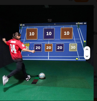 Sistema Táctil de Respuesta Rápida Recién Desarrollado, Equipo de Entrenamiento de Simulación de Pickleball, Dispositivo de Juego Deportivo Multijugador para Interiores