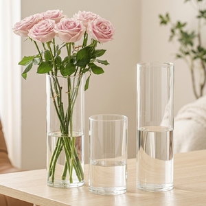 <span class=keywords><strong>Vase</strong></span> <span class=keywords><strong>en</strong></span> <span class=keywords><strong>verre</strong></span> créatif cylindrique droit, grande taille, <span class=keywords><strong>en</strong></span> <span class=keywords><strong>verre</strong></span> borosilicate épais, pour décoration - Product Image 5