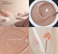 Gel UV Soak-off TPO Hema Free avec Logo Personnalisé, Gel Laque Acrylique Effet Gelée, Vente en Gros Usine, Gel Constructeur 15g à Séchage Rapide pour Extension des Ongles