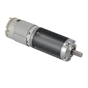28mm Customized 12V DC Step Gearmotor for Electrical Scooter and Mobility