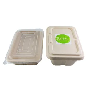 Eco Food Packaging Biodegradable Take Away Boxes Compostable Disposable Food Container