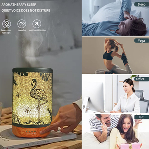 Xu hướng sản phẩm 2025 <span class=keywords><strong>New</strong></span> arrivals đà điểu rèn sắt diffuseur siêu âm mini humidificador bán buôn - Product Image 6