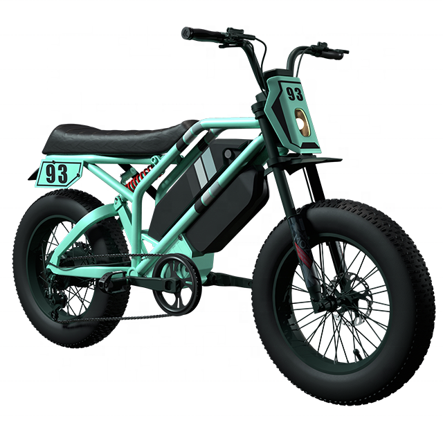 Dual Motor Battery Super Power Electric Bicycle Ebike for Adults Electrical Bike 1000W 20*4.0inch 73 Electric Fat Snow Dirt Bike
