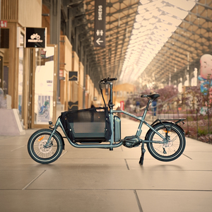 Bicicleta Bakfiets de Dos Ruedas para Adultos con Batería de Litio y Motor Central, Mini Stock Disponible en Nuestro Almacén de la UE, Actualmente Disponible - Product Image 1
