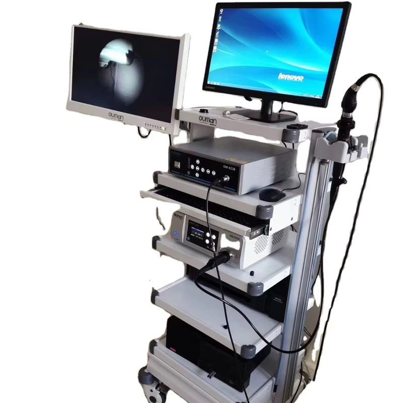 Integrated 1080P HD Endoscope Camera for